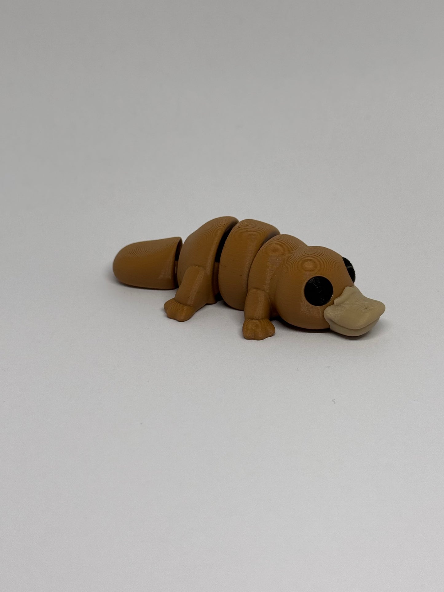 3D Platypus Fidget