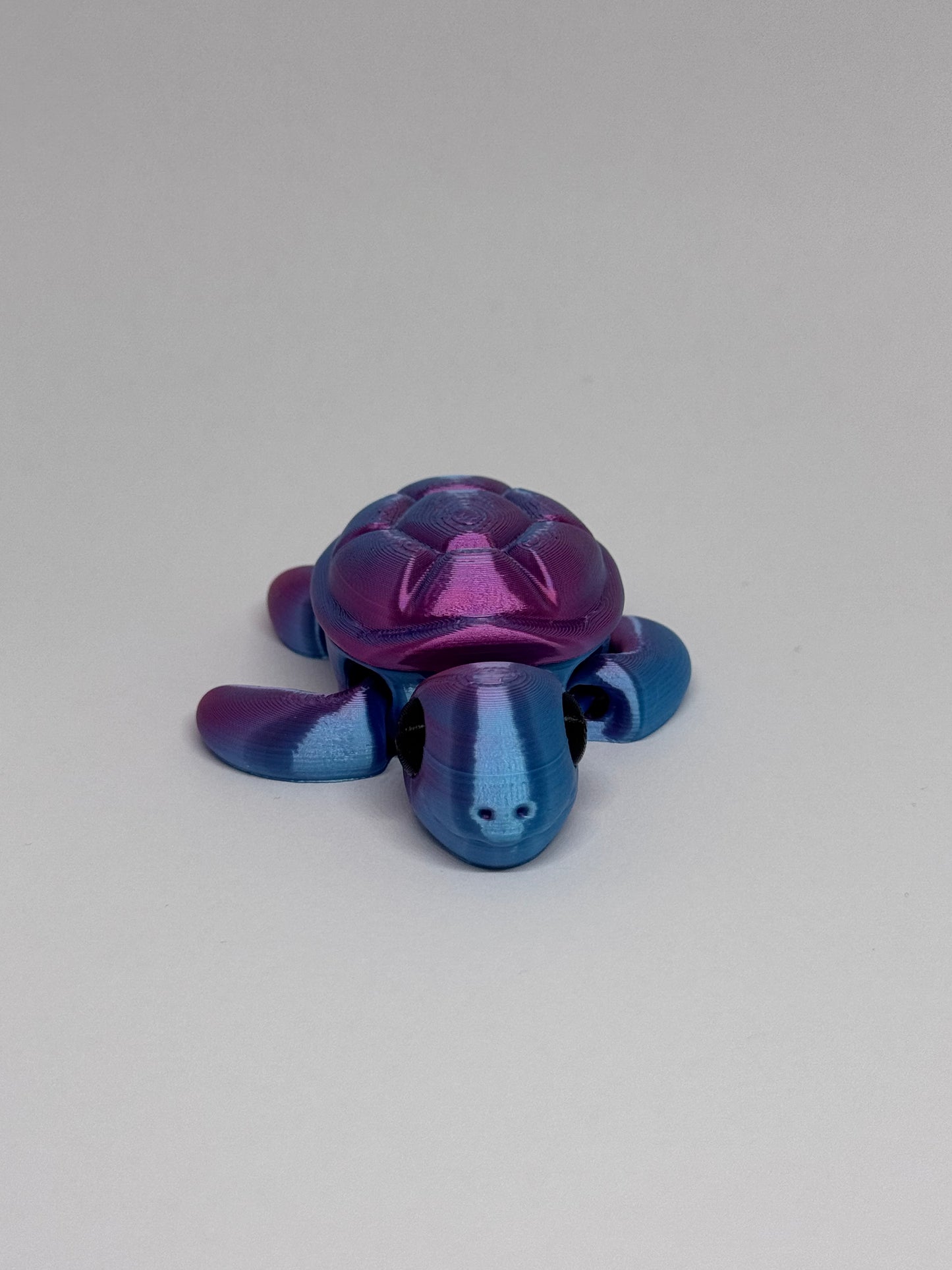 3D Turtle Fidget