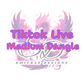 TikTok Live - Earrings Medium Dangles