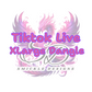TikTok Live - Earrings X-Large Dangles