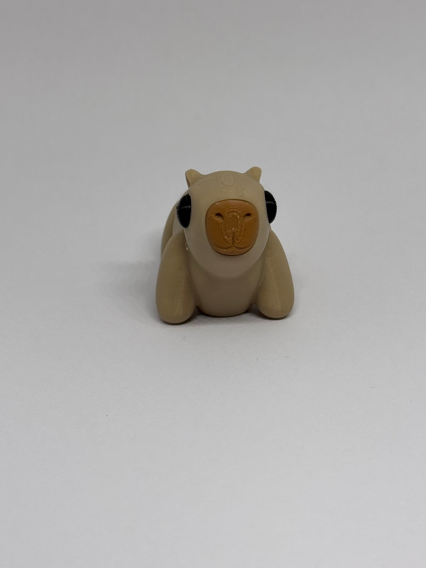 3D Capybara