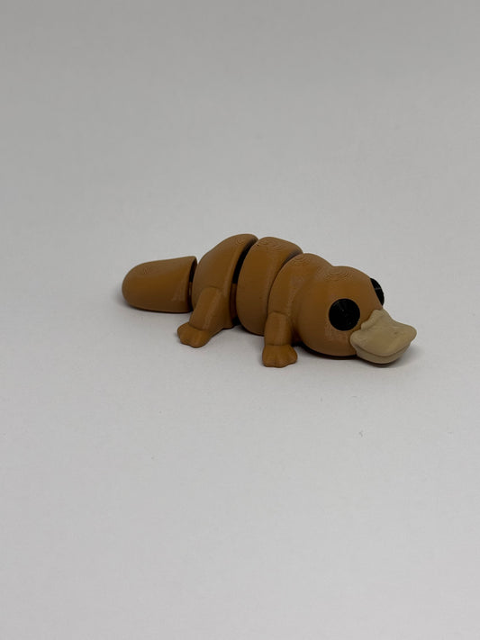 3D Platypus Fidget