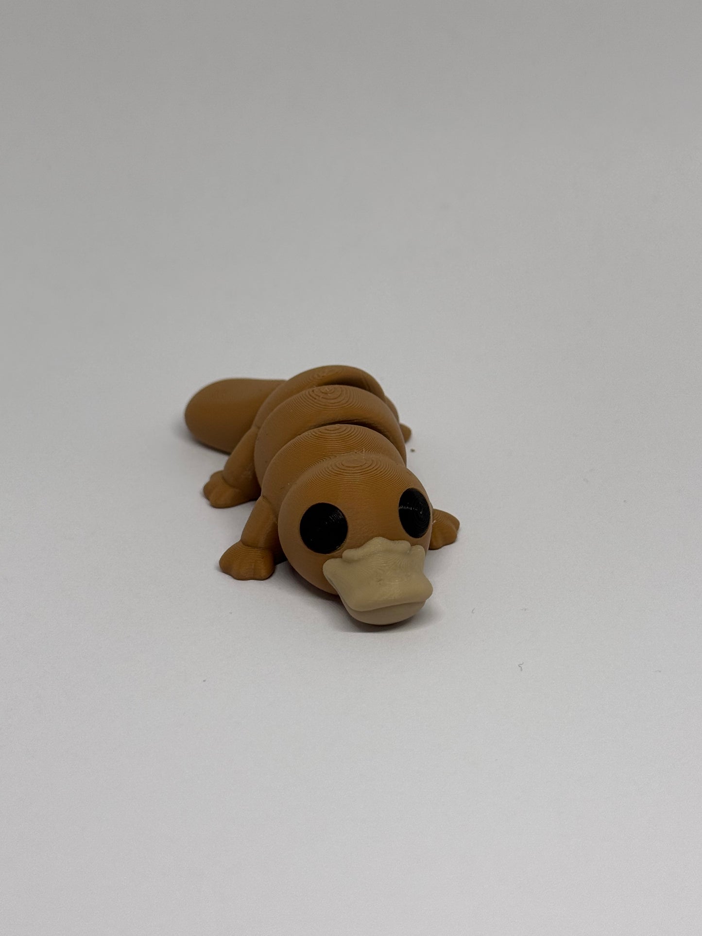 3D Platypus Fidget
