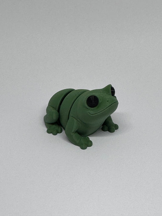 3D Frog Fidget