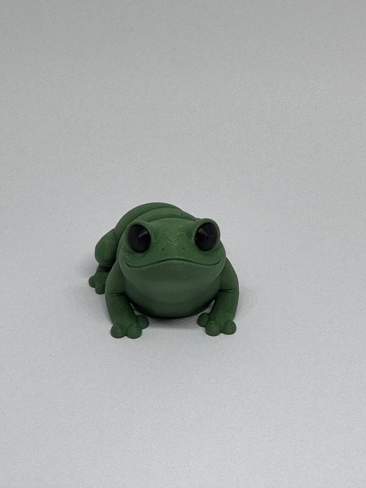 3D Frog Fidget