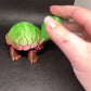 3D Turtle Fidget